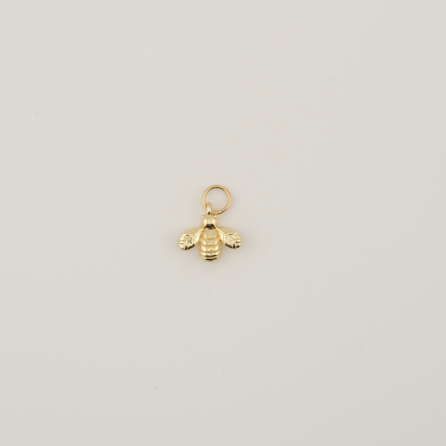 Bumble Bee Charm