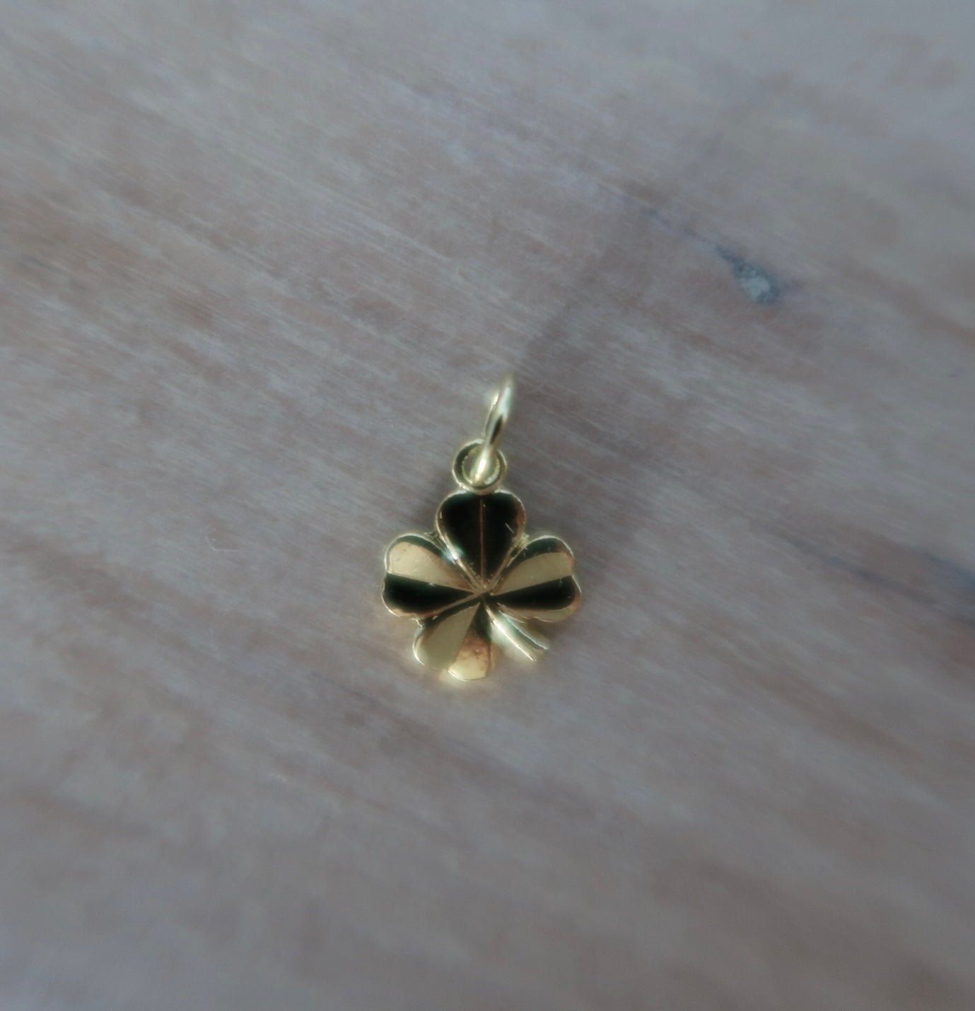 4 Leaf Clover Charm