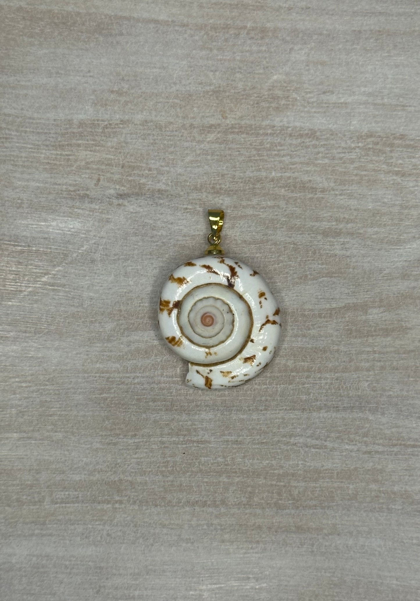 Shell Charm