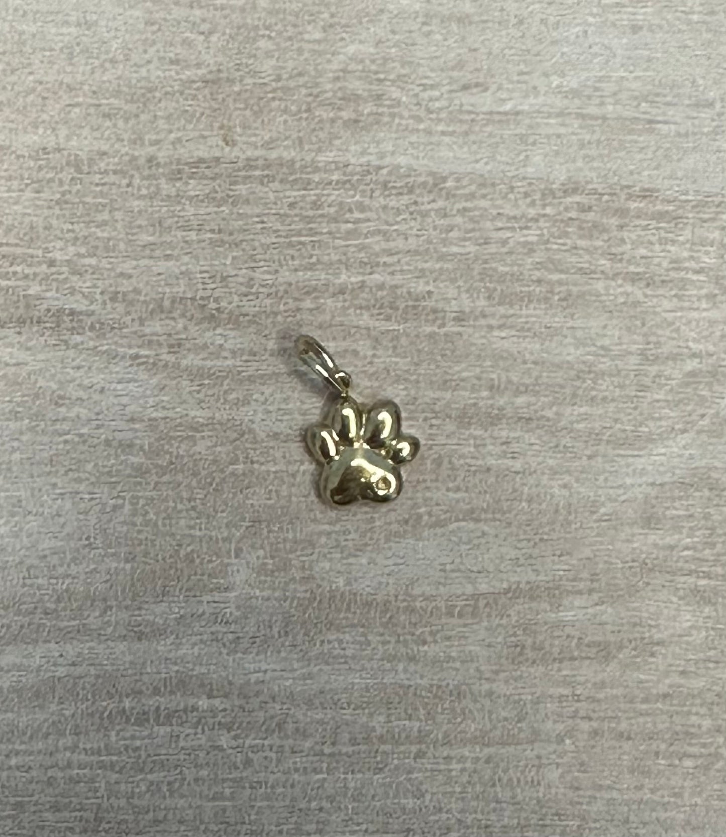 Paw Charm