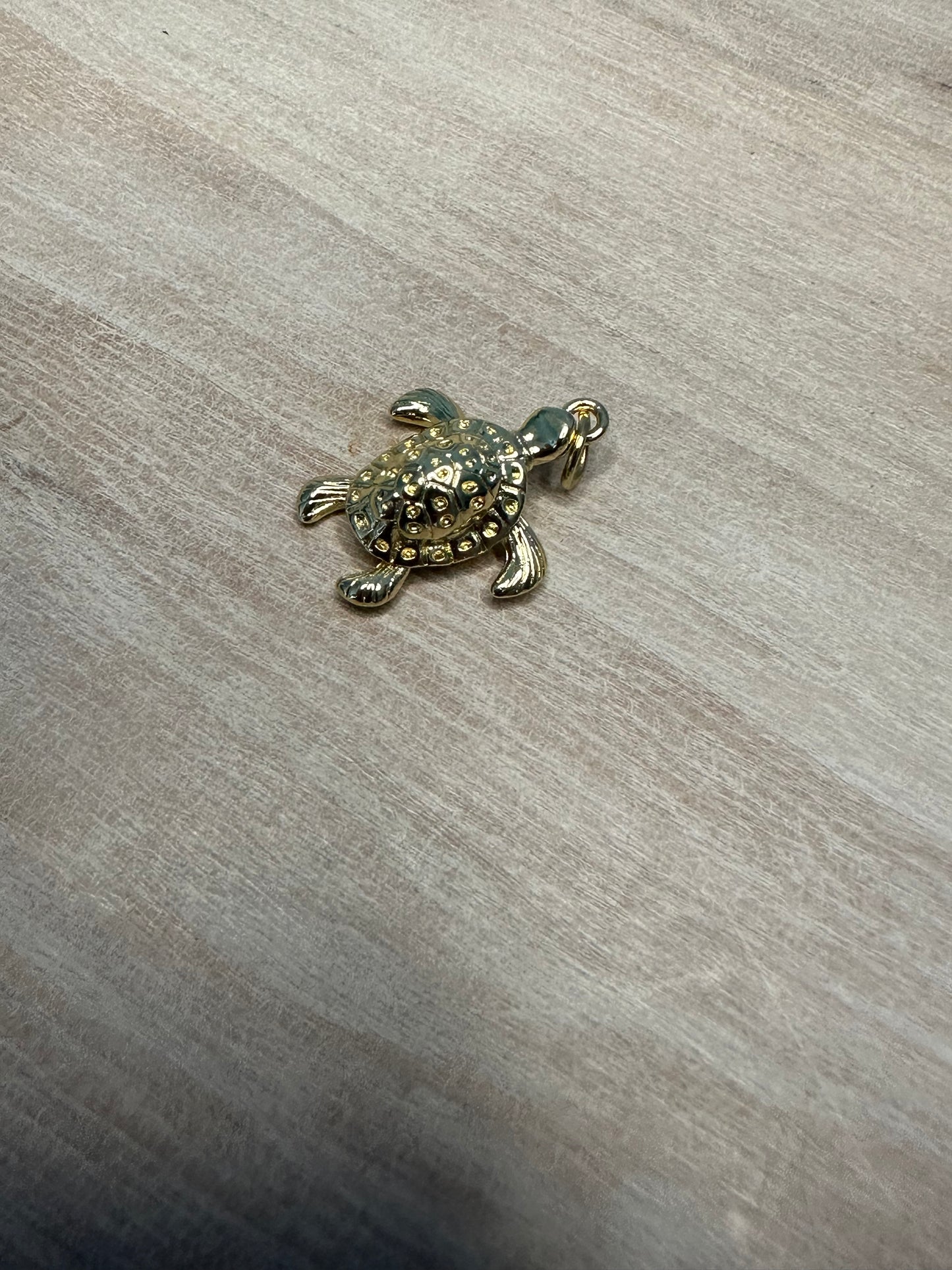 Turtle Charm