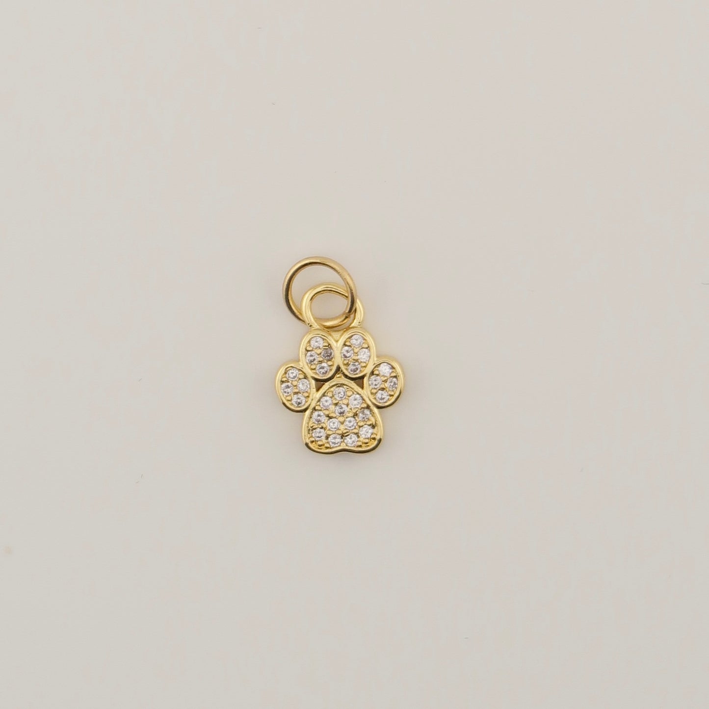 Paw Charm