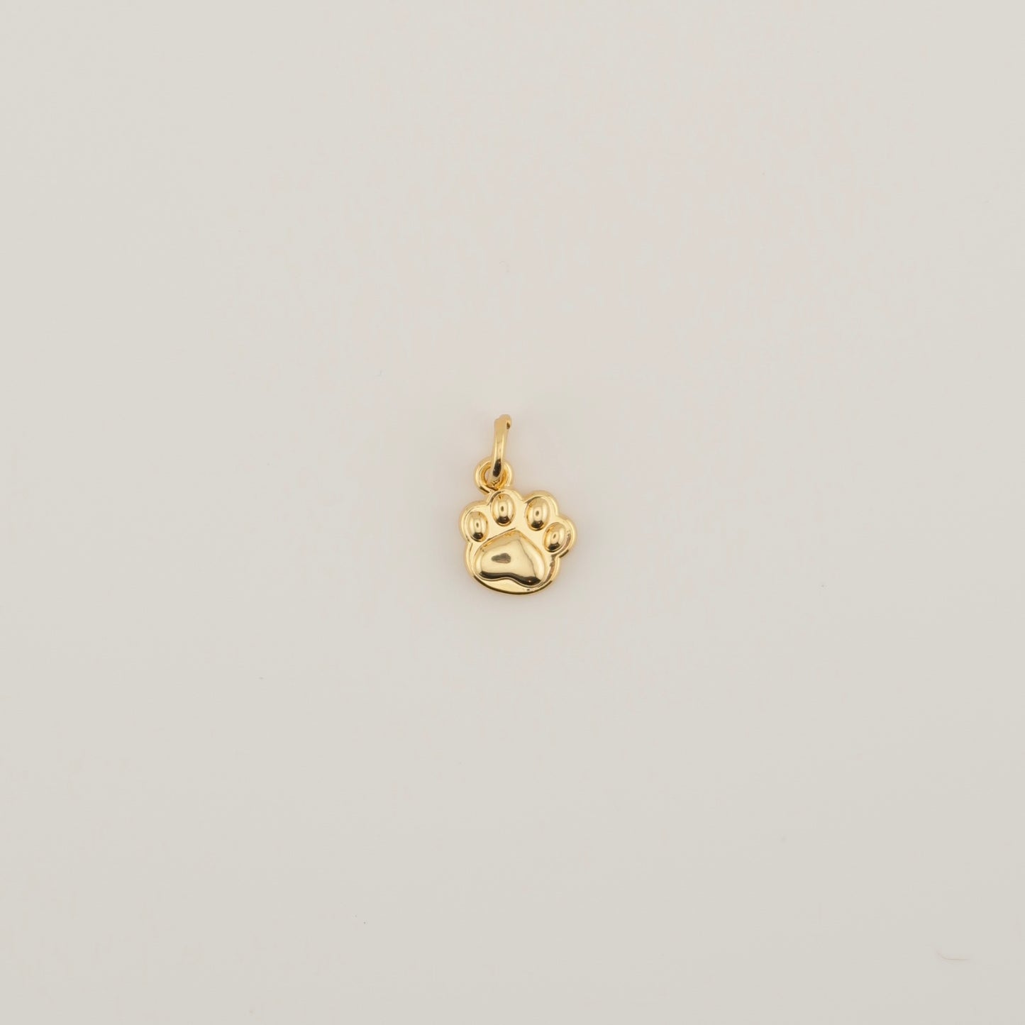 Paw Charm