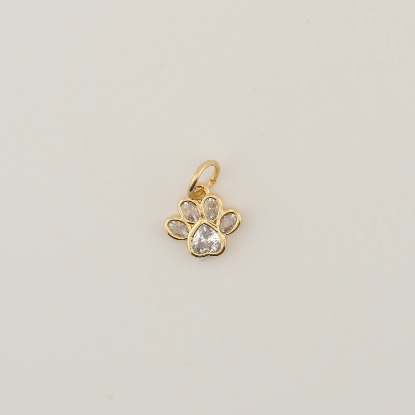 Paw Charm