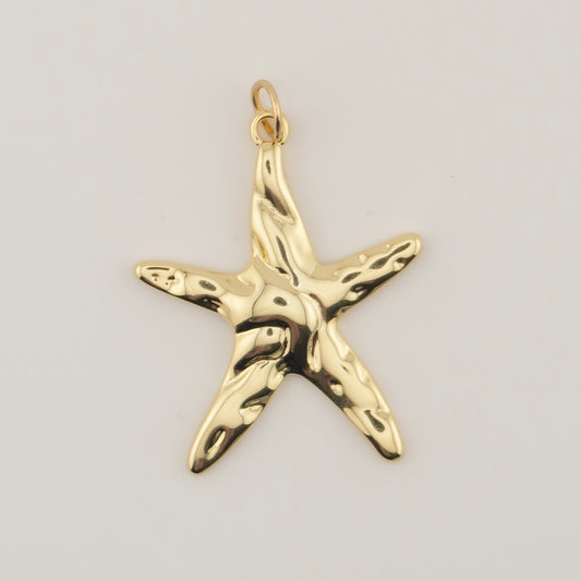Star Charm