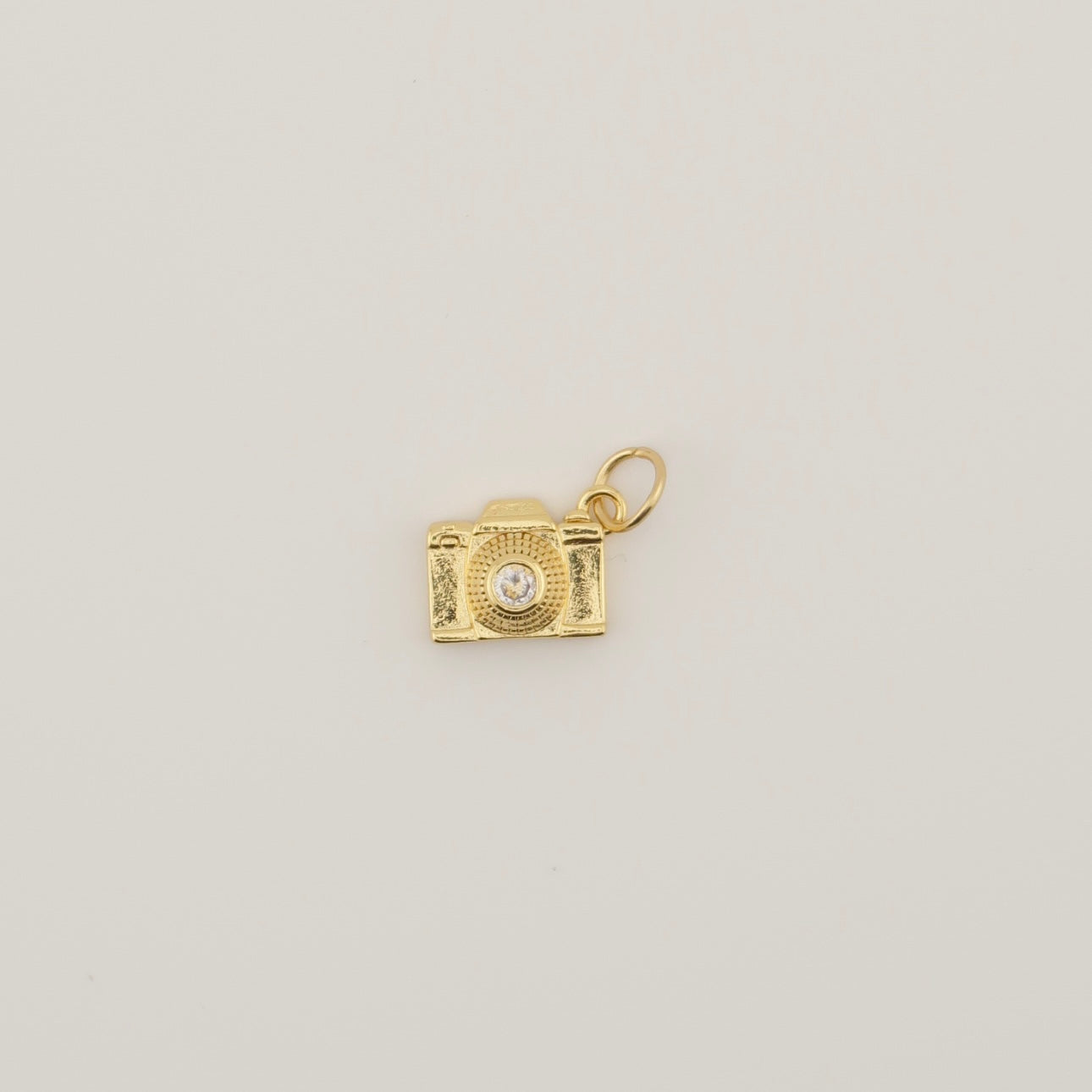 Camera Charm