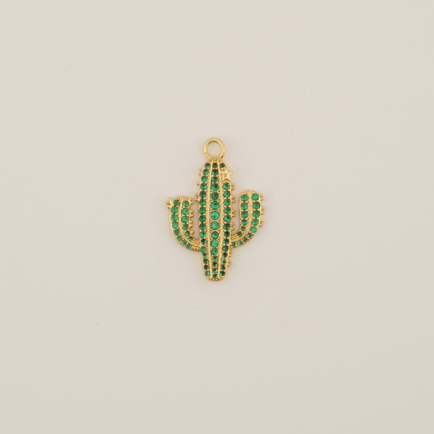 Cactus Charm