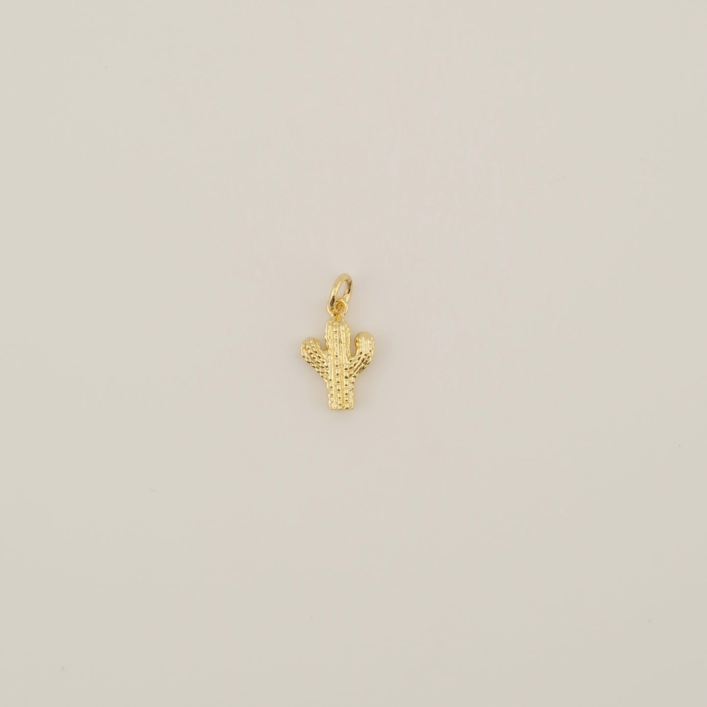 Cactus Charm
