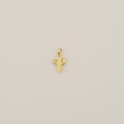 Cactus Charm