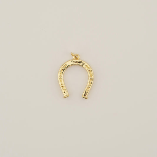 Horseshoe Charm