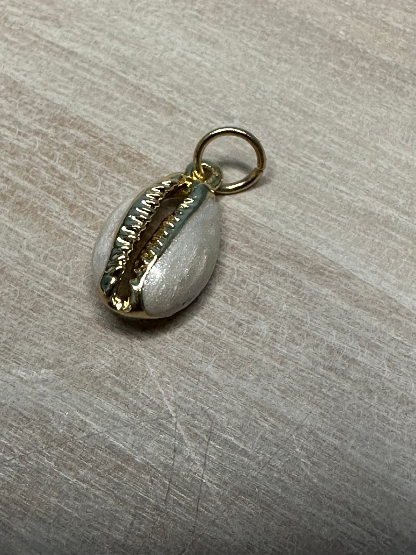 Cowrie Shell Charm