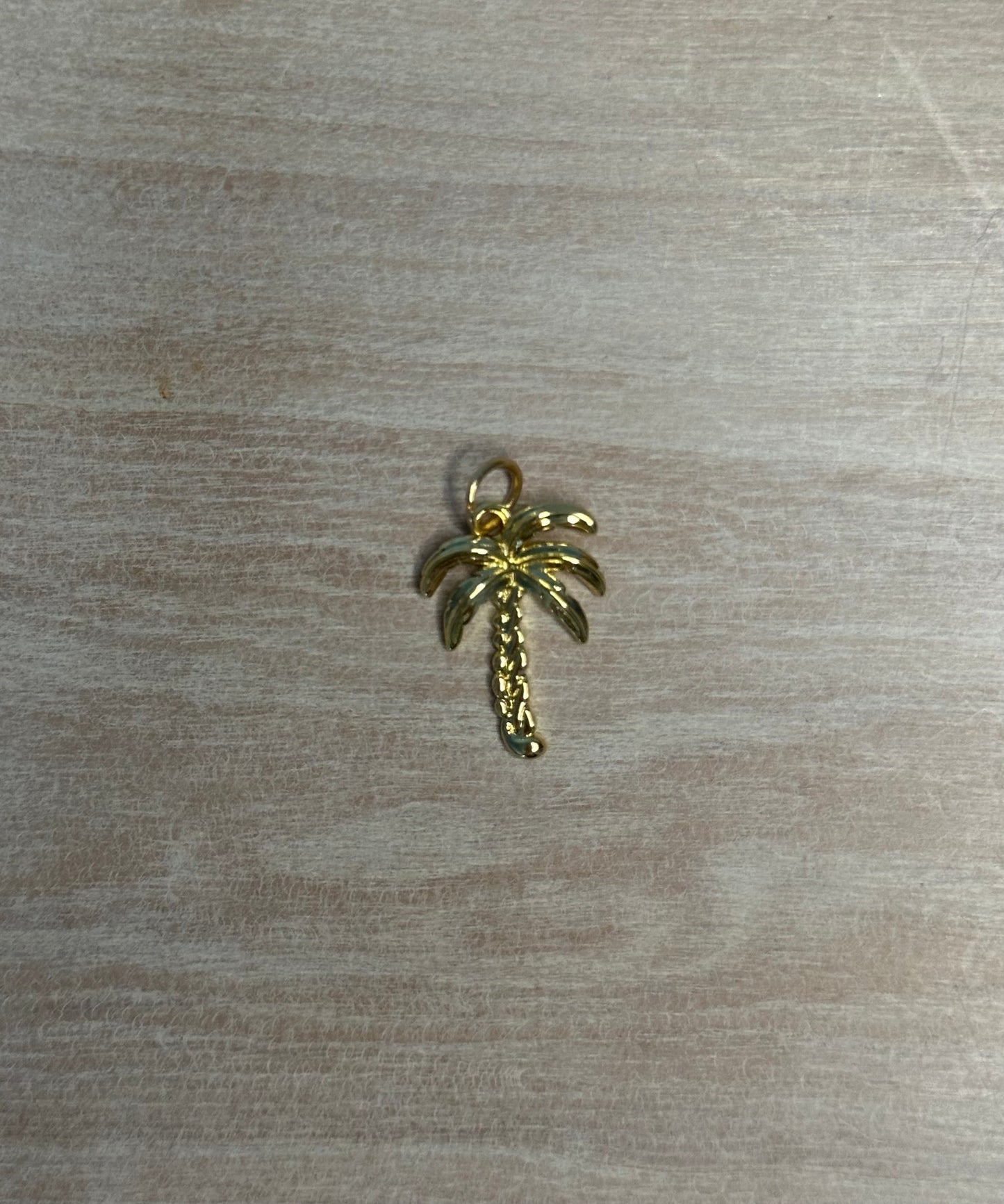 Palm Tree Charm