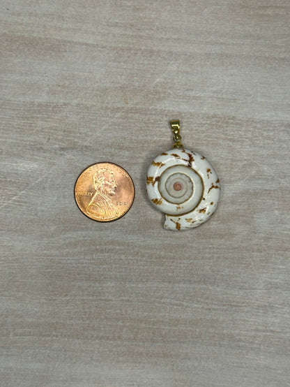 Shell Charm