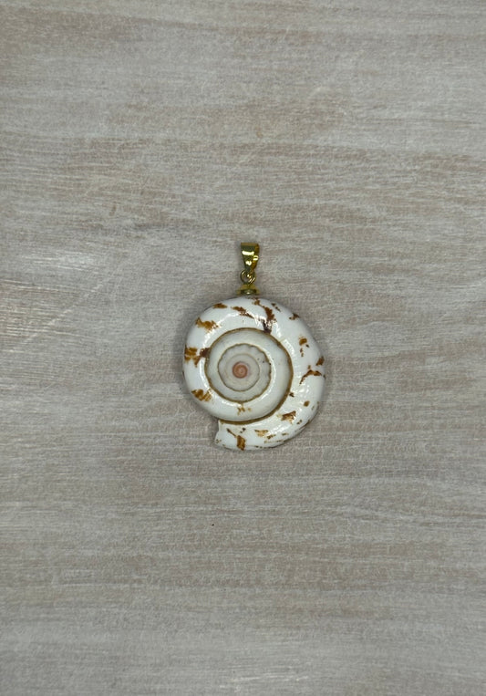 Shell Charm