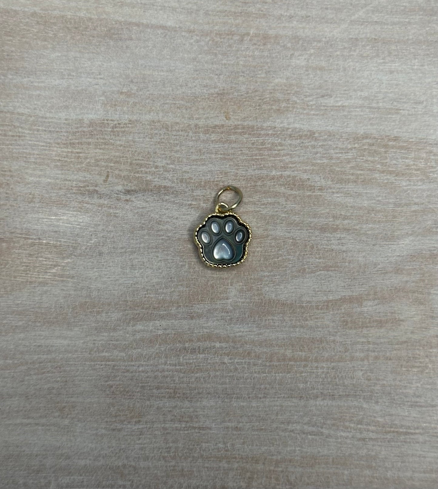 Paw Charm
