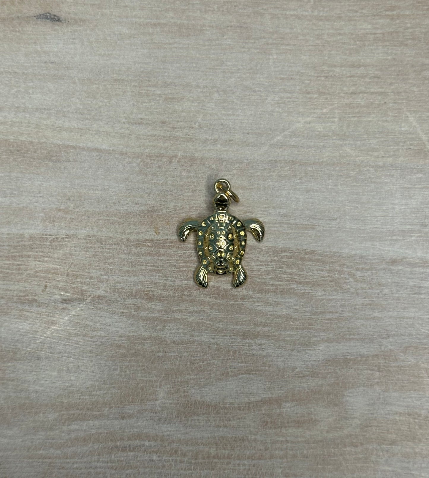 Turtle Charm